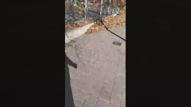 amir_funn